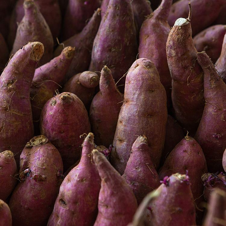 Extrait de patate douce violette