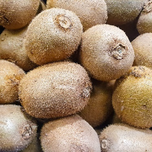 Actinidine d'extrait de fruit de kiwi