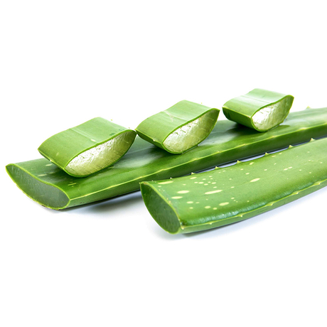 Extrait d'Aloe Vera