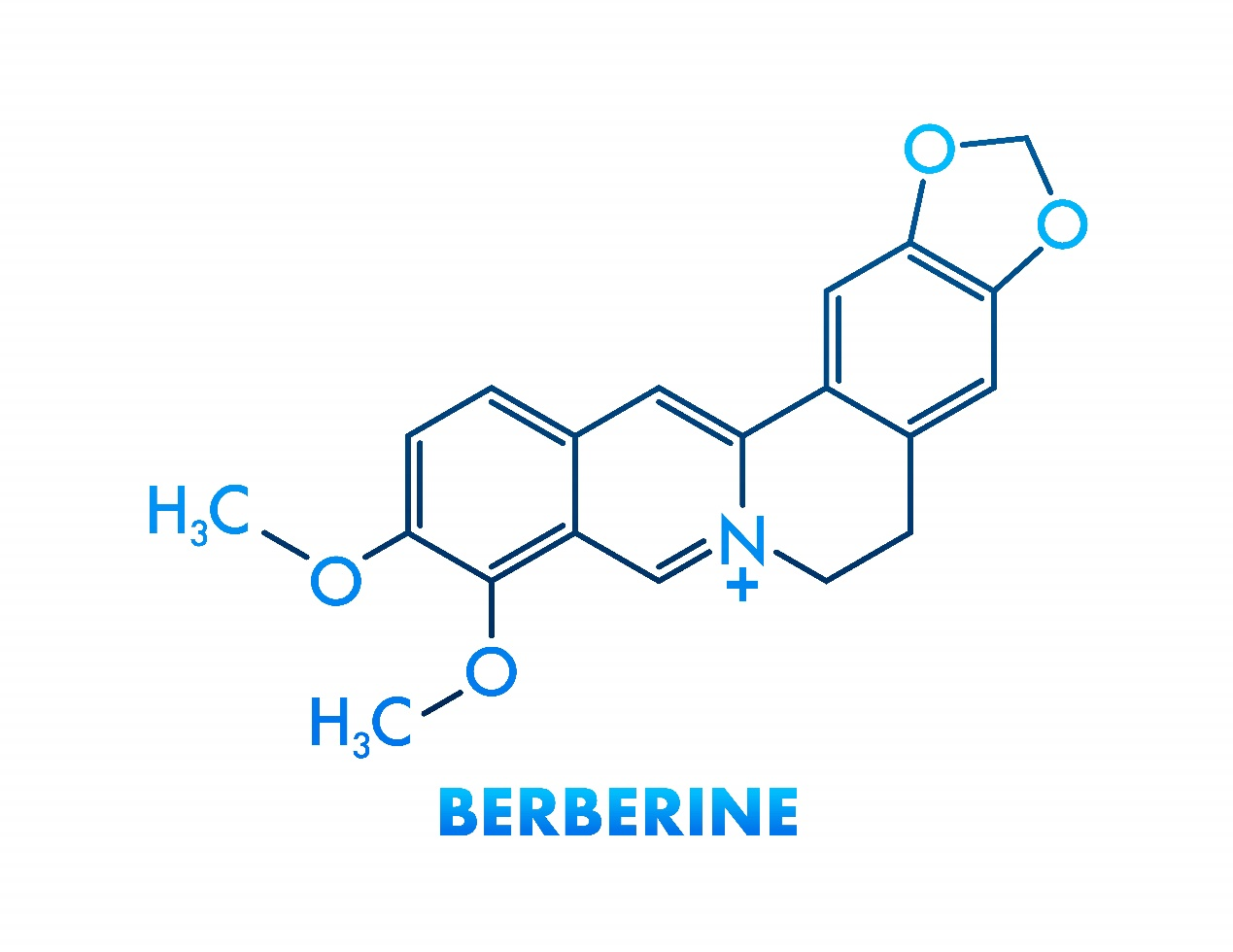 Berbérine HCL（2）