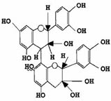 Structure moléculaire