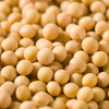 Soasaponines