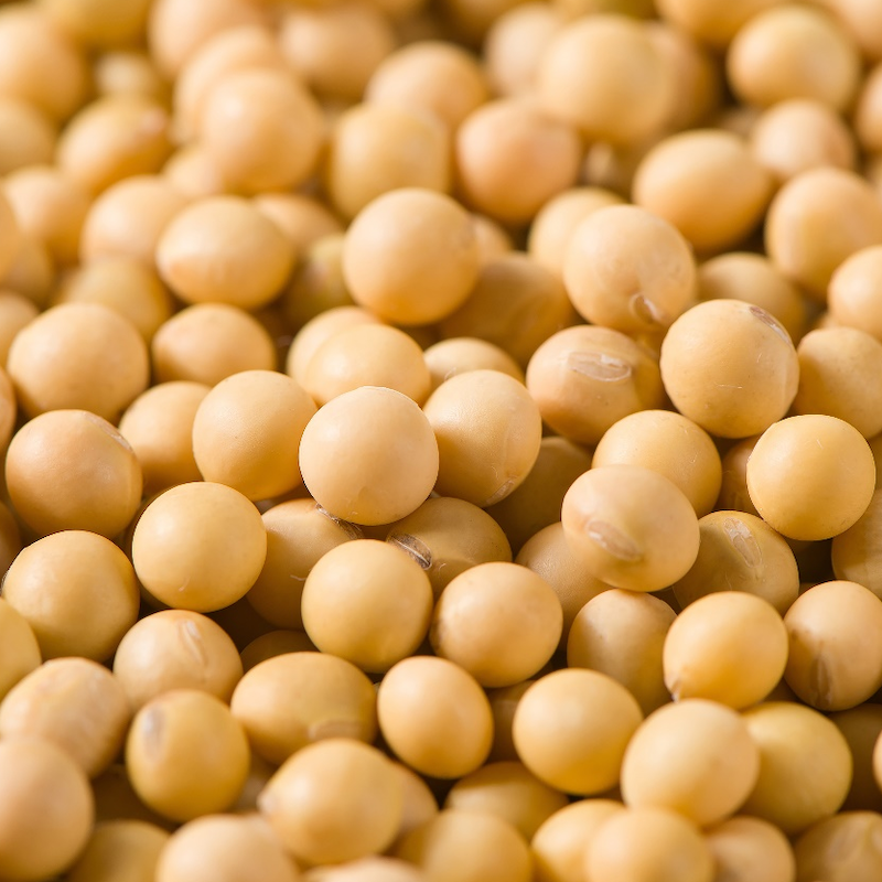 Soasaponines