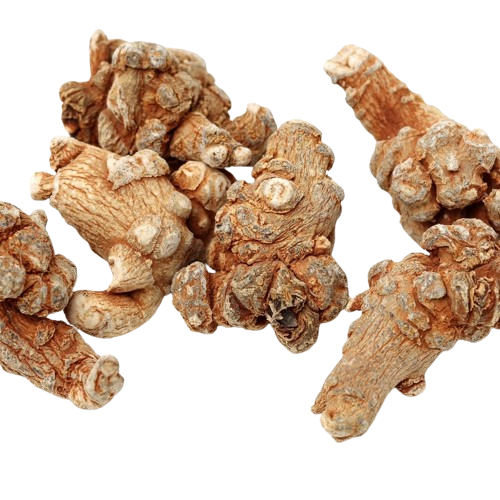 Extrait de racine de Panax Notoginseng Notoginseng Saponines totales
