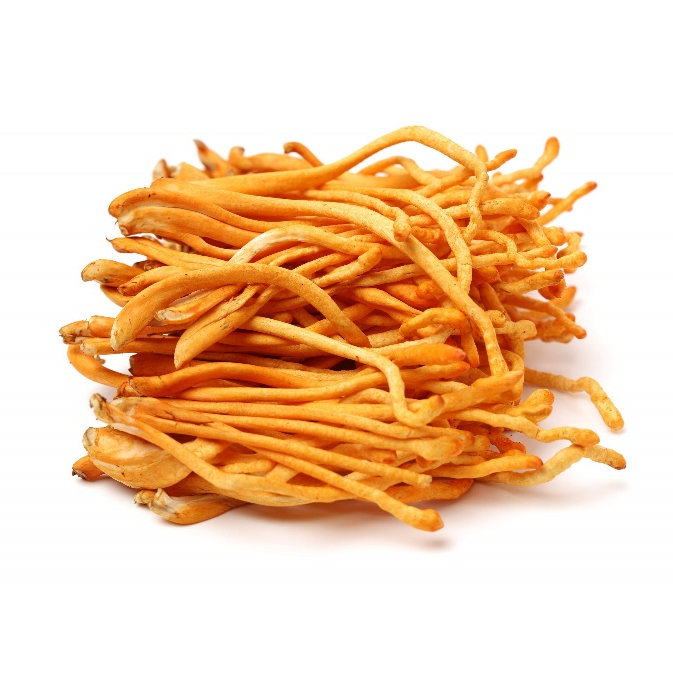 Extrait de poudre de Cordyceps militaris