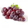 Extrait de graines de raisin